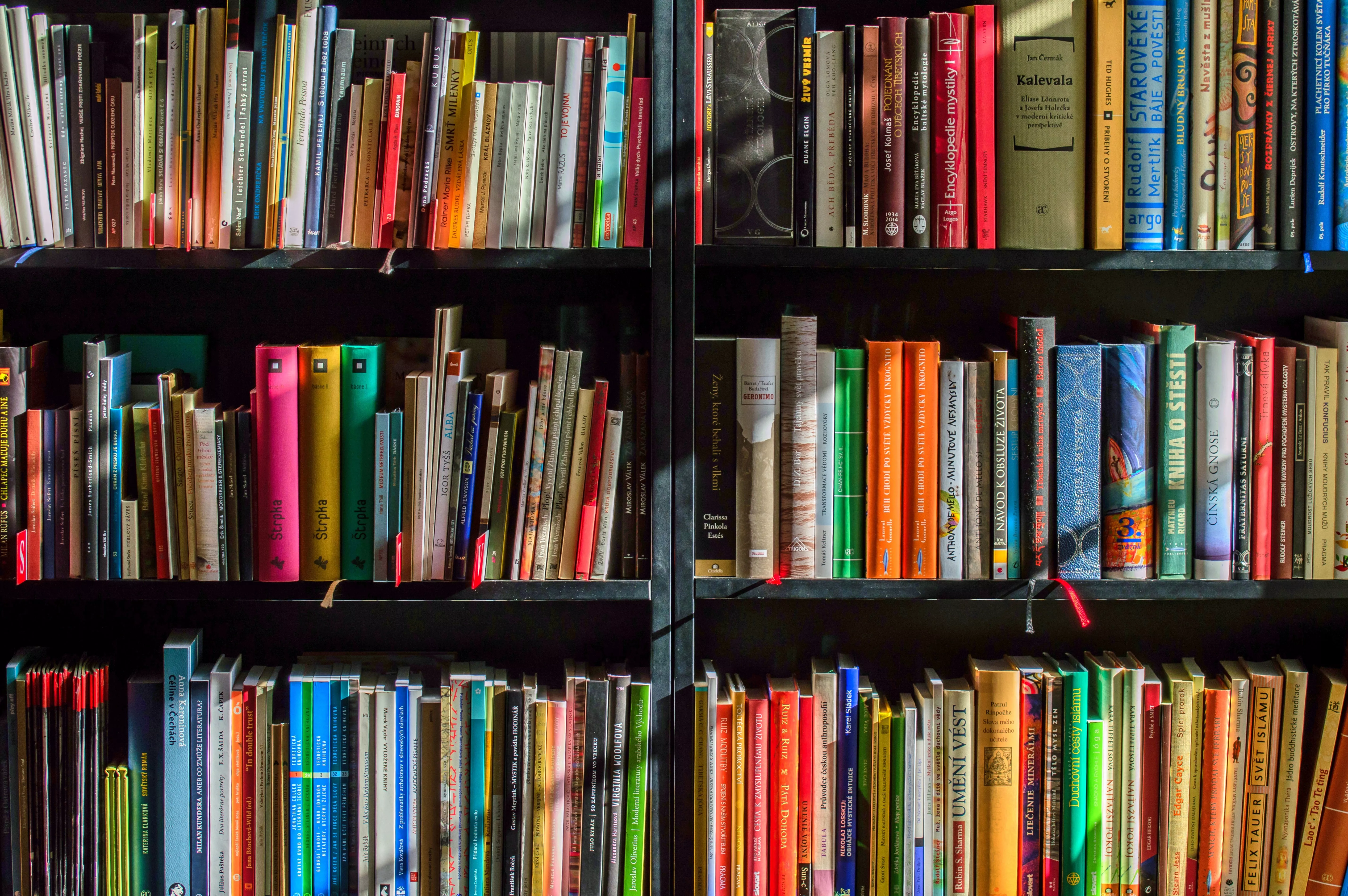 Library bookshelves.